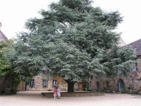 Abbaye de Daoulas